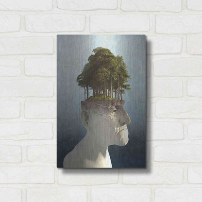 Luxe Metal Art 'Personal Growth' by Cynthia Decker, Metal Wall Art,12x16