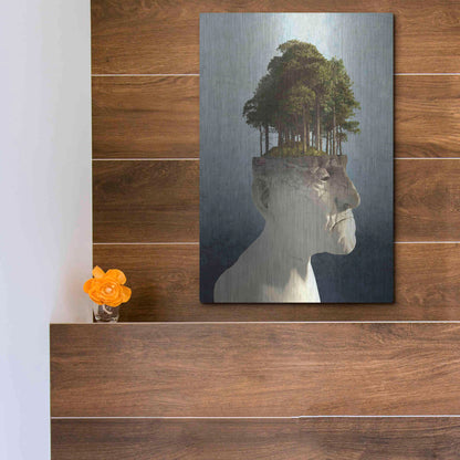 Luxe Metal Art 'Personal Growth' by Cynthia Decker, Metal Wall Art,12x16