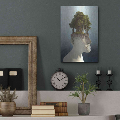 Luxe Metal Art 'Personal Growth' by Cynthia Decker, Metal Wall Art,12x16