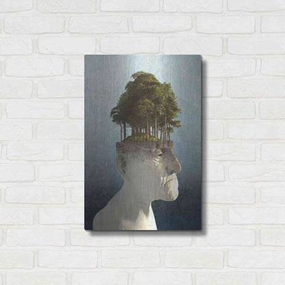 Luxe Metal Art 'Personal Growth' by Cynthia Decker, Metal Wall Art,16x24