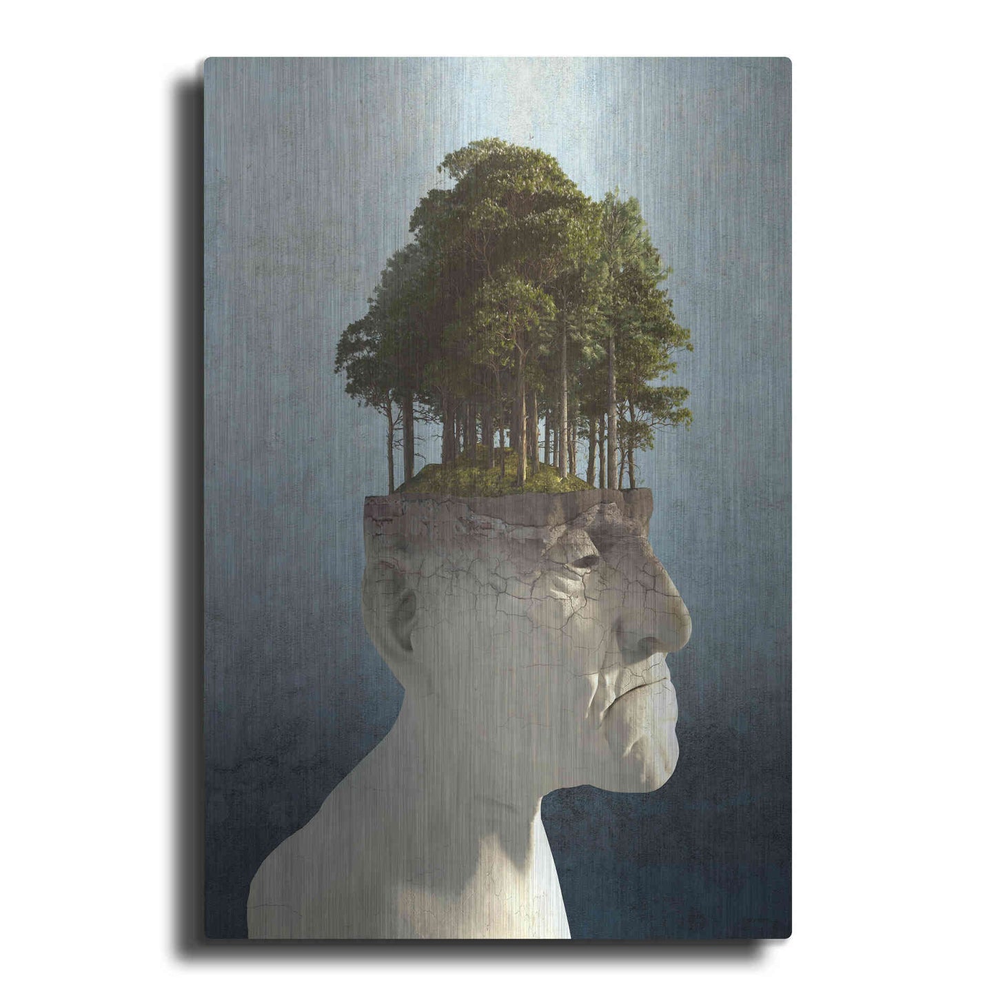 Luxe Metal Art 'Personal Growth' by Cynthia Decker, Metal Wall Art