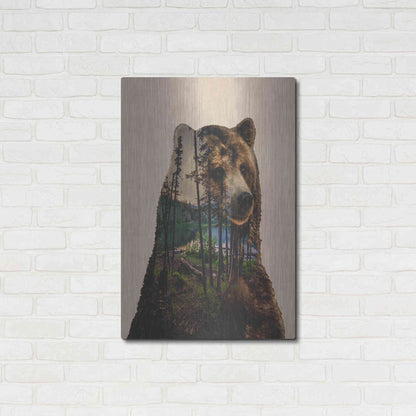 Luxe Metal Art 'Bear Lake' by Davies Babies, Metal Wall Art,24x36