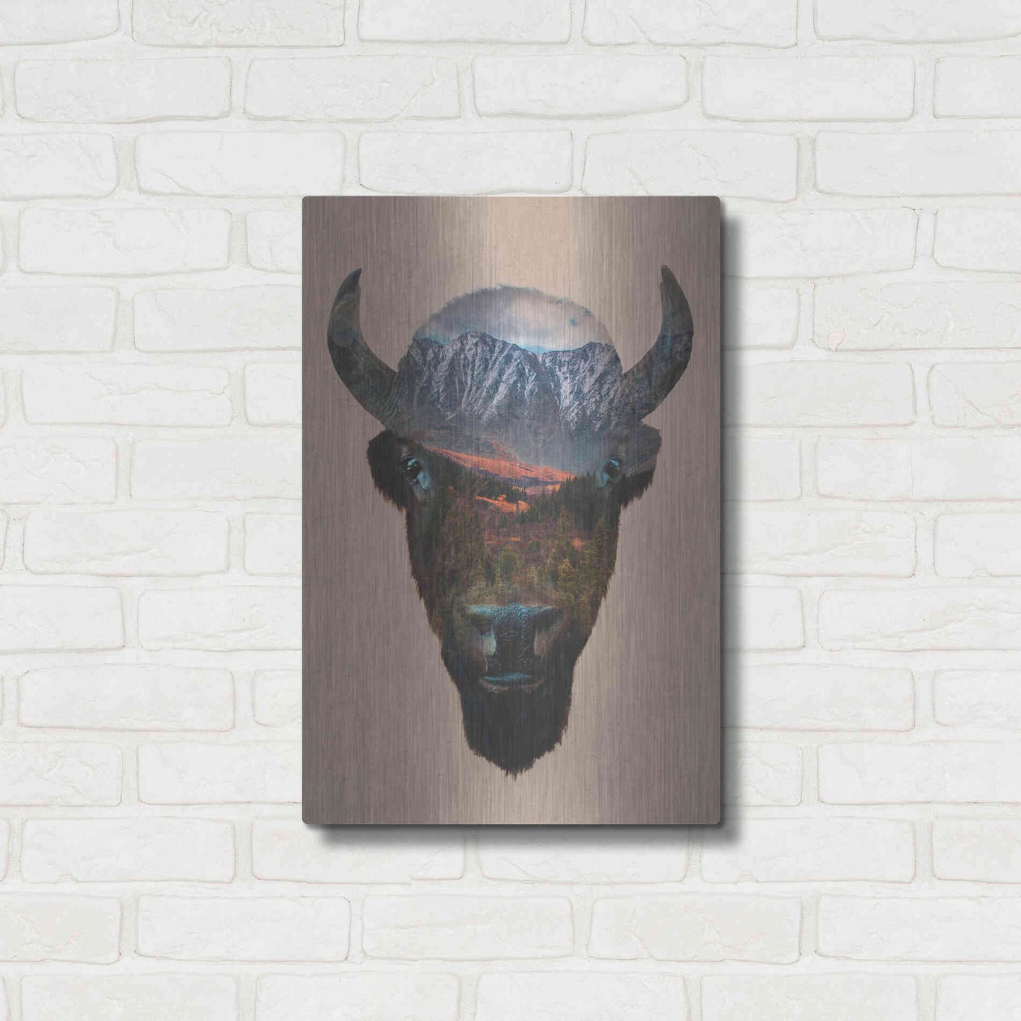 Luxe Metal Art 'Bison Peak' by Davies Babies, Metal Wall Art,16x24