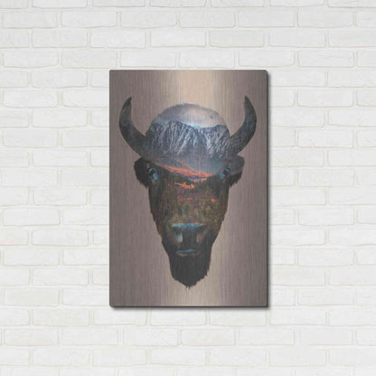 Luxe Metal Art 'Bison Peak' by Davies Babies, Metal Wall Art,24x36