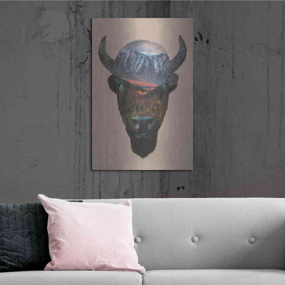 Luxe Metal Art 'Bison Peak' by Davies Babies, Metal Wall Art,24x36