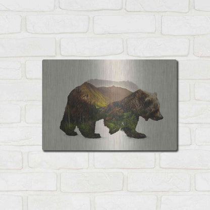 Luxe Metal Art 'North American Brown Bear' by Davies Babies, Metal Wall Art,16x12