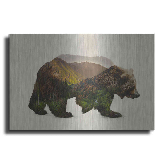 Luxe Metal Art 'North American Brown Bear' by Davies Babies, Metal Wall Art