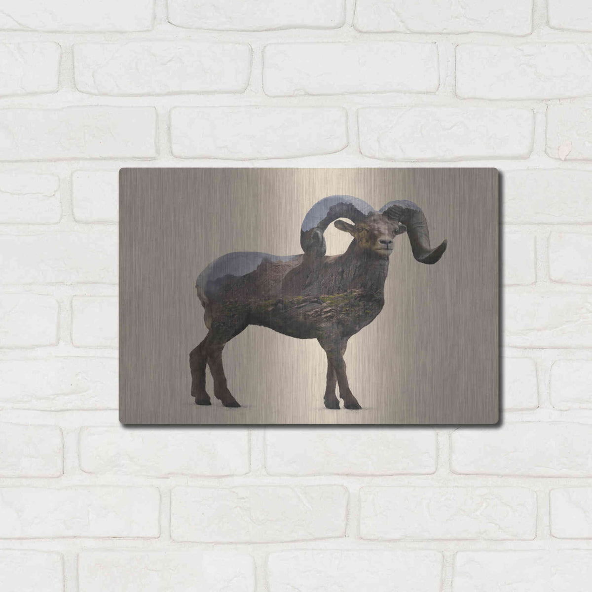 Luxe Metal Art 'Rocky Mountain Bighorn' by Davies Babies, Metal Wall Art,16x12