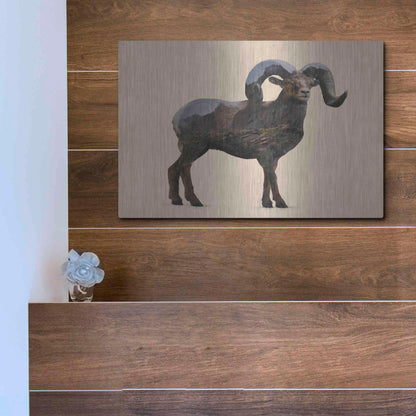 Luxe Metal Art 'Rocky Mountain Bighorn' by Davies Babies, Metal Wall Art,16x12