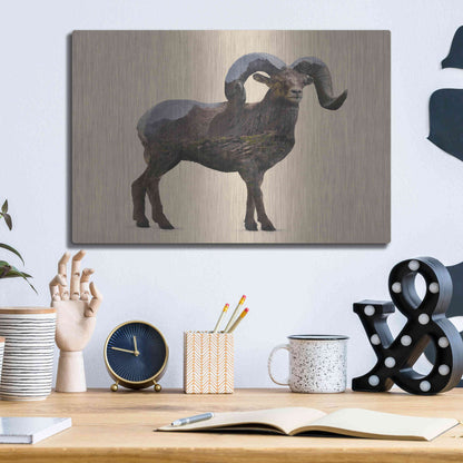 Luxe Metal Art 'Rocky Mountain Bighorn' by Davies Babies, Metal Wall Art,16x12