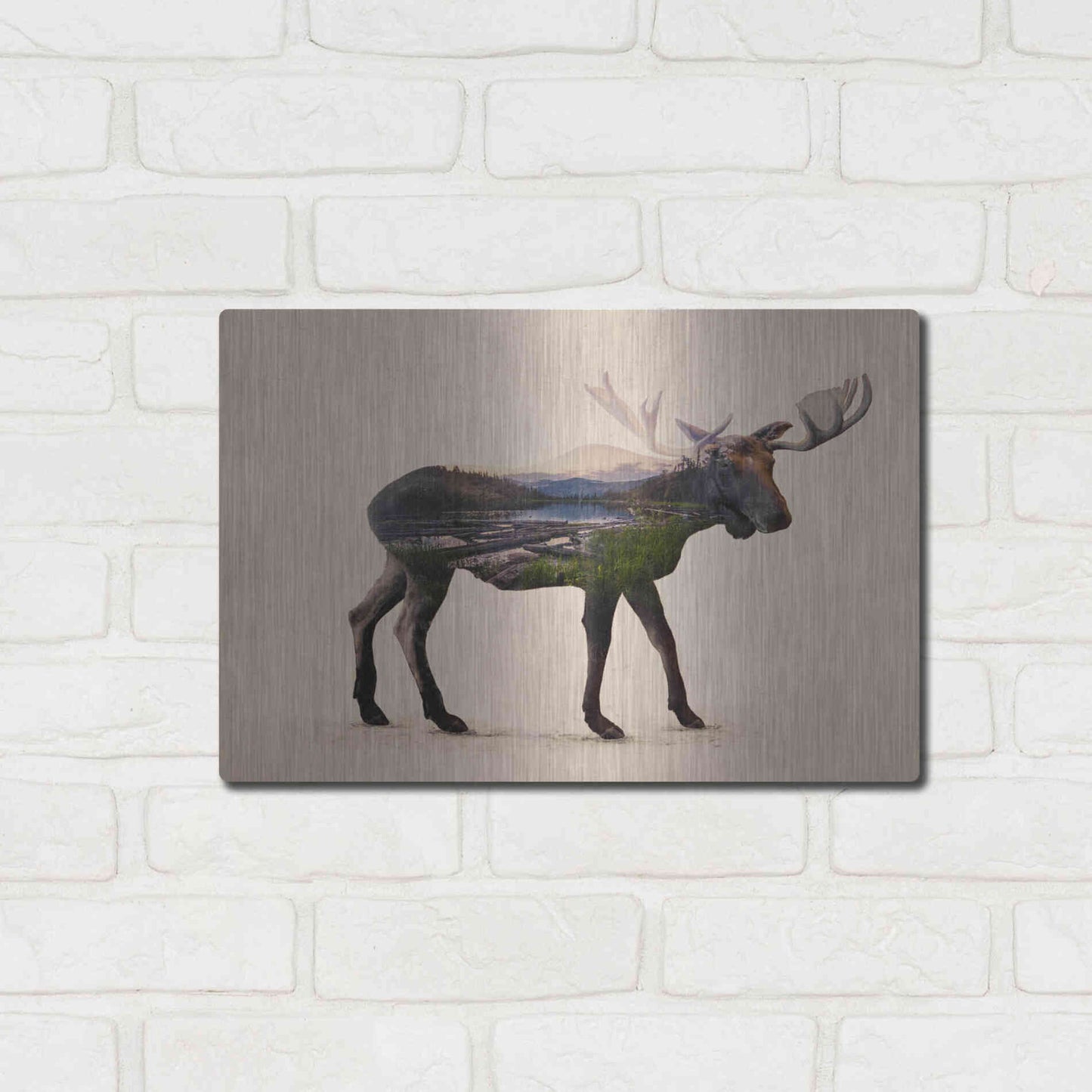 Luxe Metal Art 'The Alaskan Bull Moose' by Davies Babies, Metal Wall Art,16x12