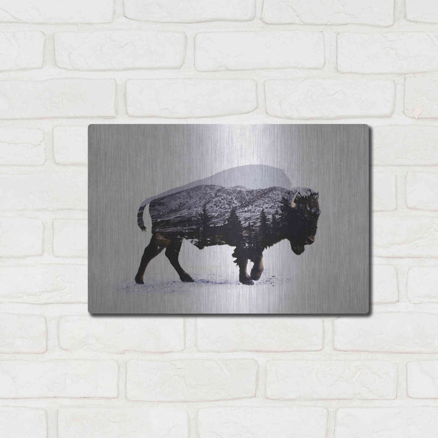 Luxe Metal Art 'The American Bison' by Davies Babies, Metal Wall Art,16x12