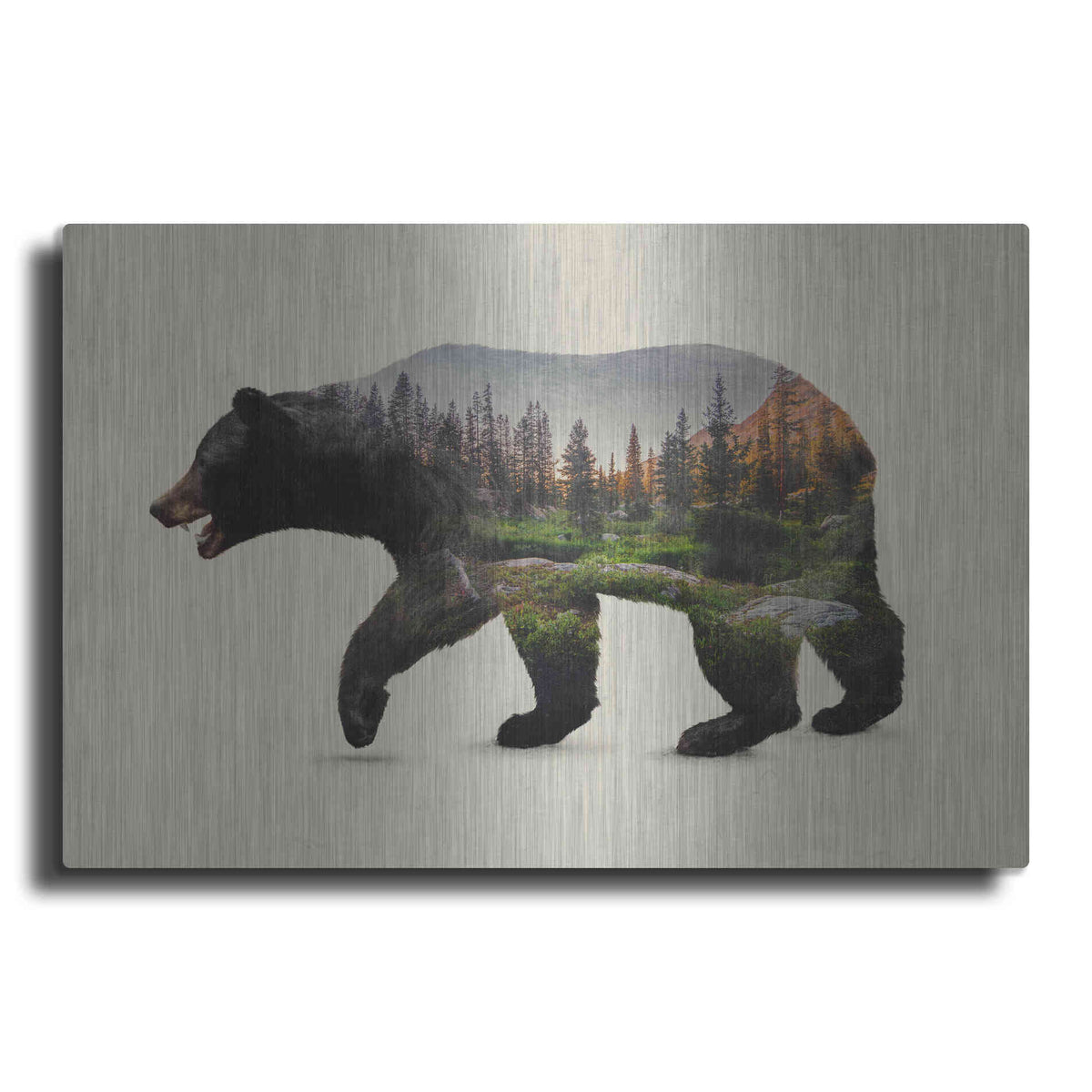 Luxe Metal Art 'The North American Black Bear' by Davies Babies, Metal Wall Art