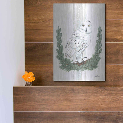 Luxe Metal Art 'Arctic Winter Owl  ' by Sara Baker, Metal Wall Art,12x16