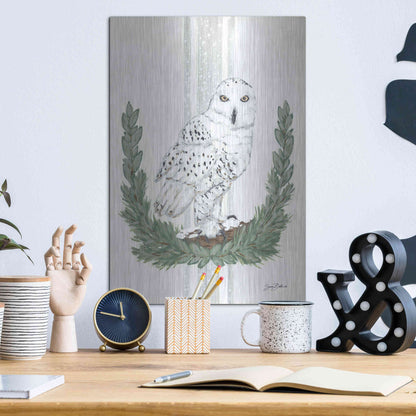 Luxe Metal Art 'Arctic Winter Owl  ' by Sara Baker, Metal Wall Art,12x16