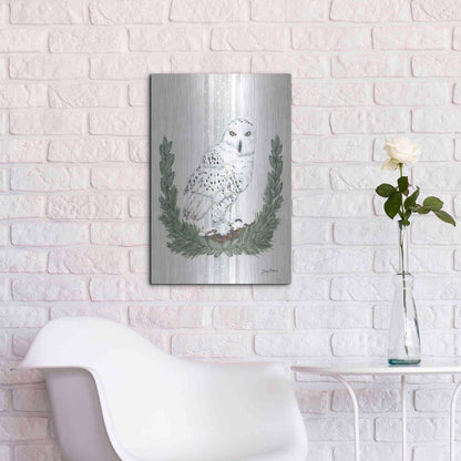 Luxe Metal Art 'Arctic Winter Owl  ' by Sara Baker, Metal Wall Art,16x24
