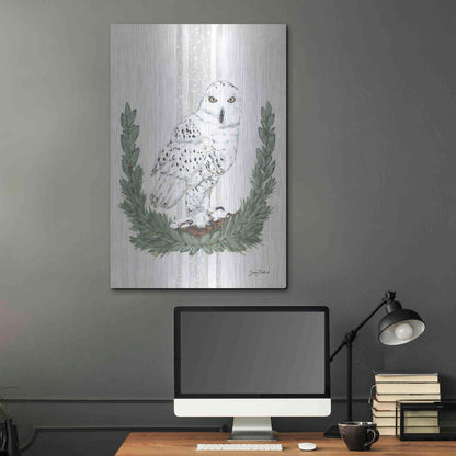 Luxe Metal Art 'Arctic Winter Owl  ' by Sara Baker, Metal Wall Art,24x36