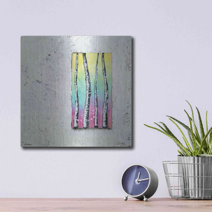 Luxe Metal Art 'Window to Nature II' by Britt Hallowell, Metal Wall Art,12x12