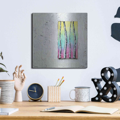 Luxe Metal Art 'Window to Nature II' by Britt Hallowell, Metal Wall Art,12x12