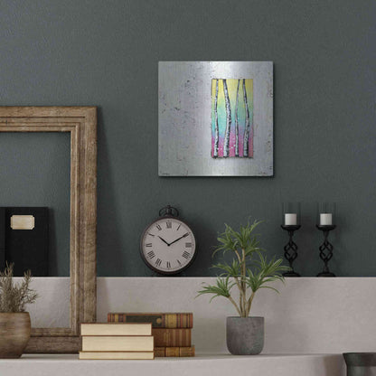 Luxe Metal Art 'Window to Nature II' by Britt Hallowell, Metal Wall Art,12x12