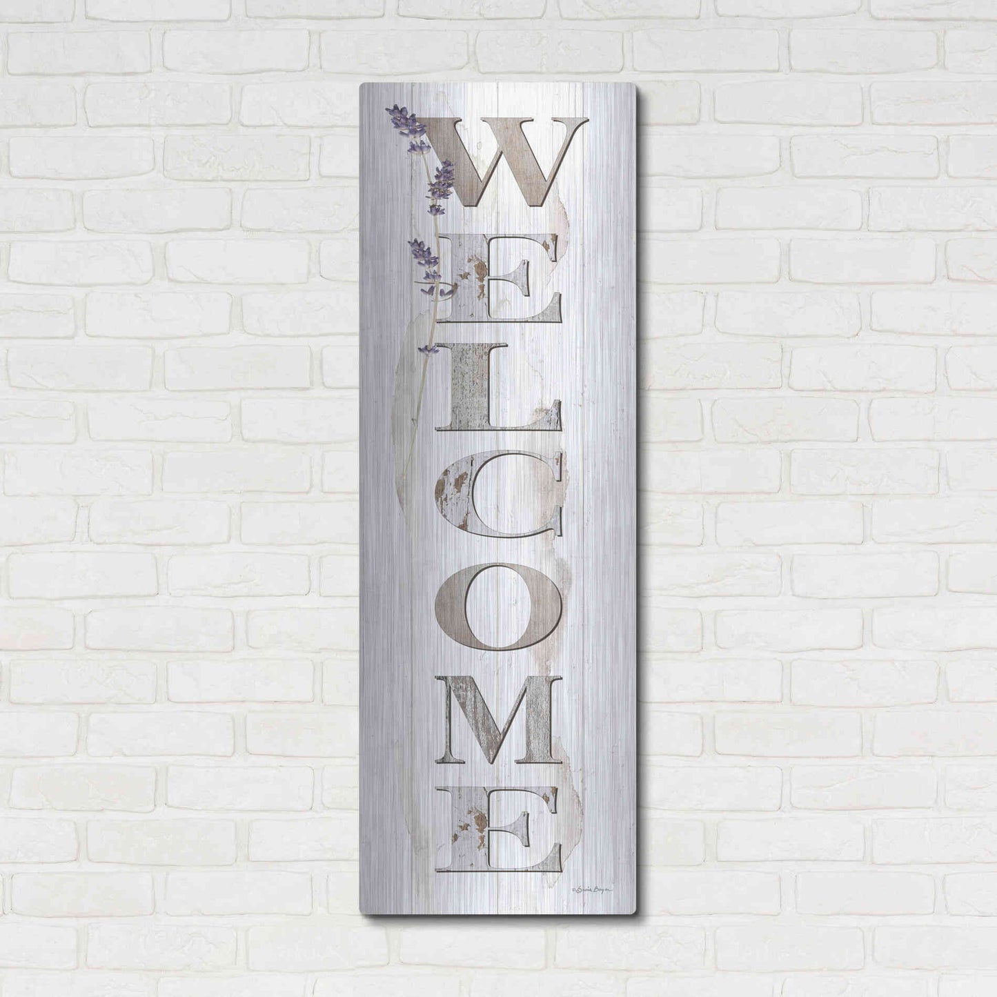Luxe Metal Art 'Welcome' by Susie Boyer, Metal Wall Art,16x48