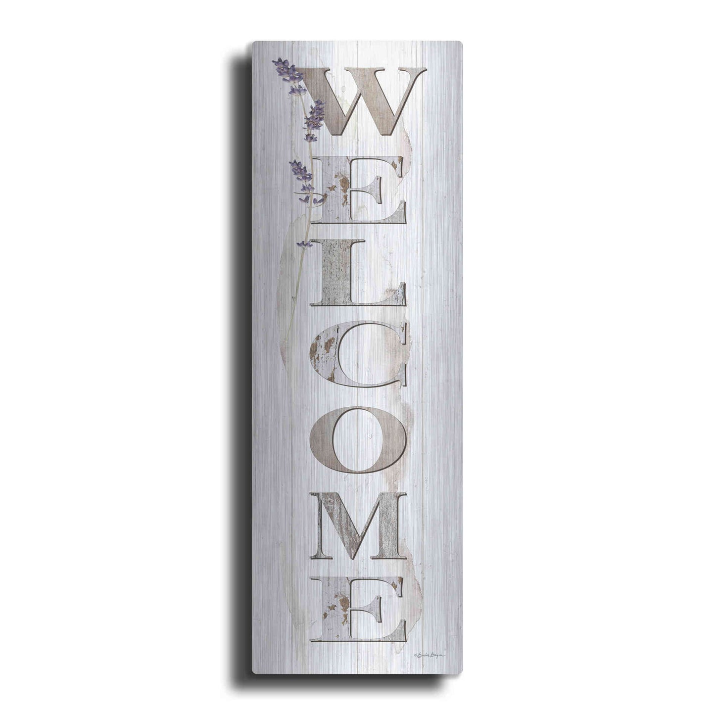 Luxe Metal Art 'Welcome' by Susie Boyer, Metal Wall Art
