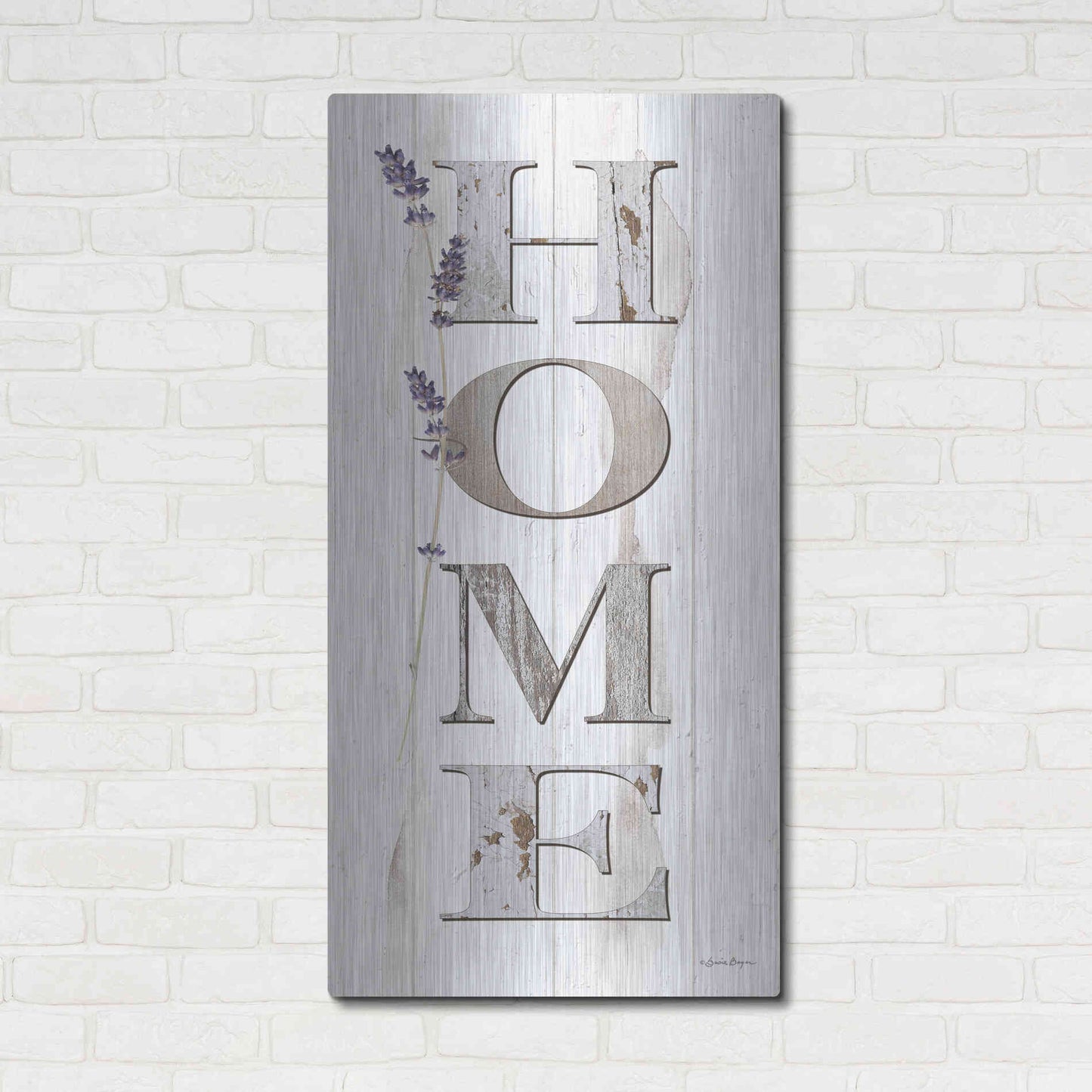 Luxe Metal Art 'HOME 2' by Susie Boyer, Metal Wall Art,24x48