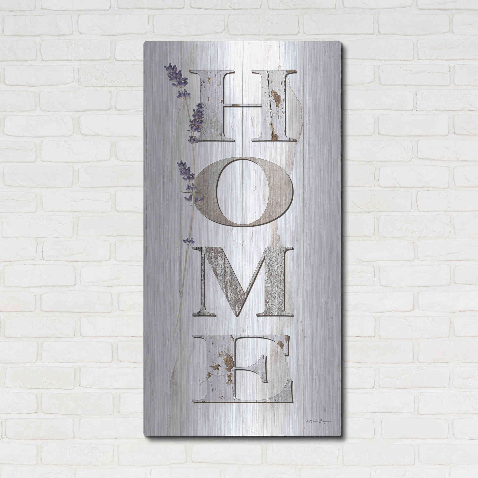 Luxe Metal Art 'HOME 2' by Susie Boyer, Metal Wall Art,24x48