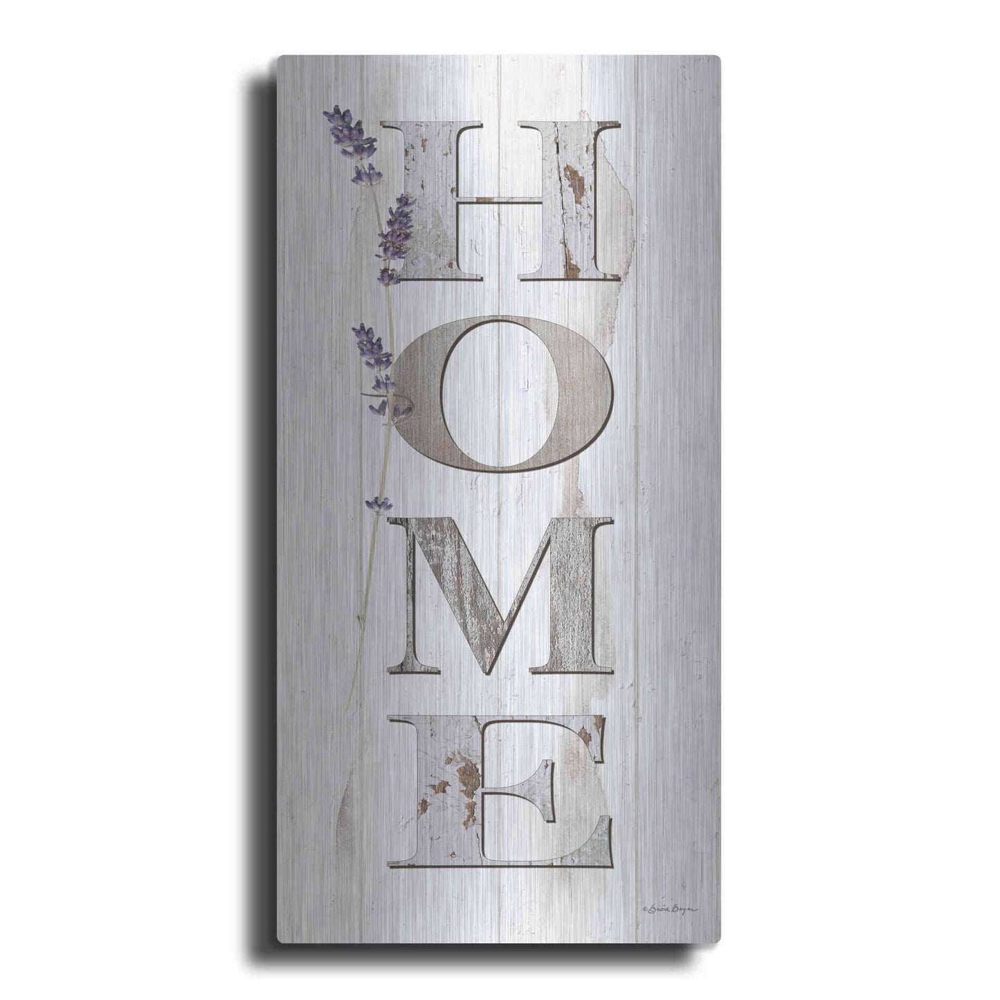Luxe Metal Art 'HOME 2' by Susie Boyer, Metal Wall Art