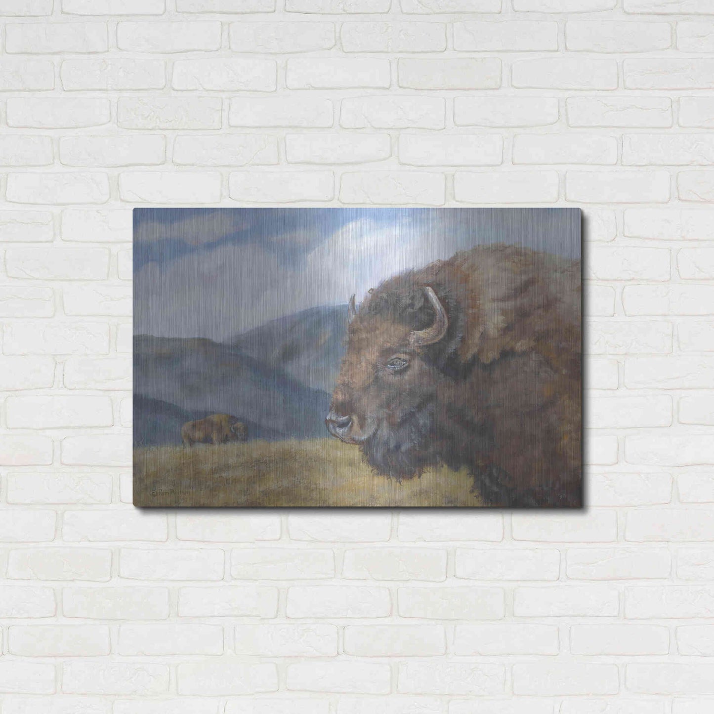 Luxe Metal Art 'Yellowstone Kings   ' by Pam Britton, Metal Wall Art,36x24