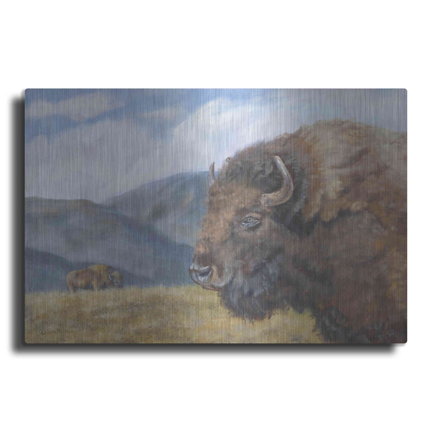 Luxe Metal Art 'Yellowstone Kings   ' by Pam Britton, Metal Wall Art