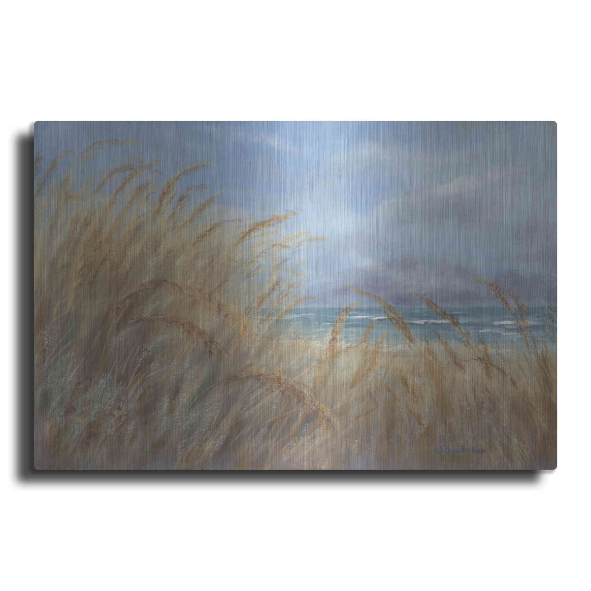 Luxe Metal Art 'Windy Day at the Shore    ' by Pam Britton, Metal Wall Art
