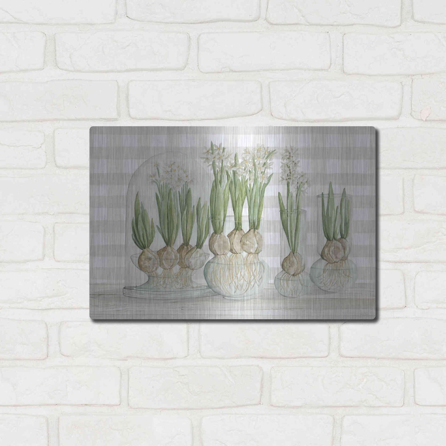 Luxe Metal Art 'Paperwhite Bulbs' by Cindy Jacobs, Metal Wall Art,16x12