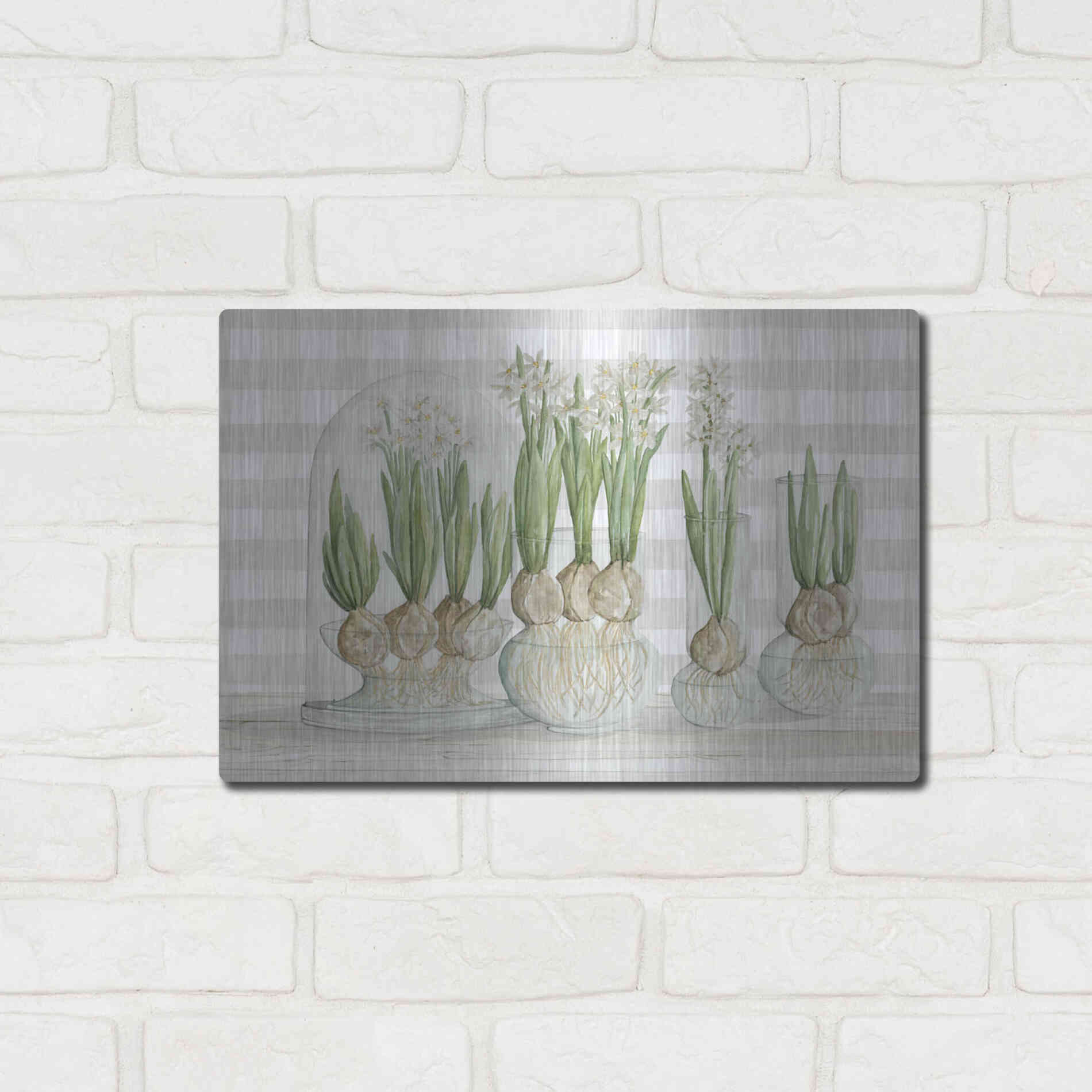Luxe Metal Art 'Paperwhite Bulbs' by Cindy Jacobs, Metal Wall Art,16x12