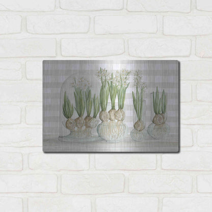 Luxe Metal Art 'Paperwhite Bulbs' by Cindy Jacobs, Metal Wall Art,16x12