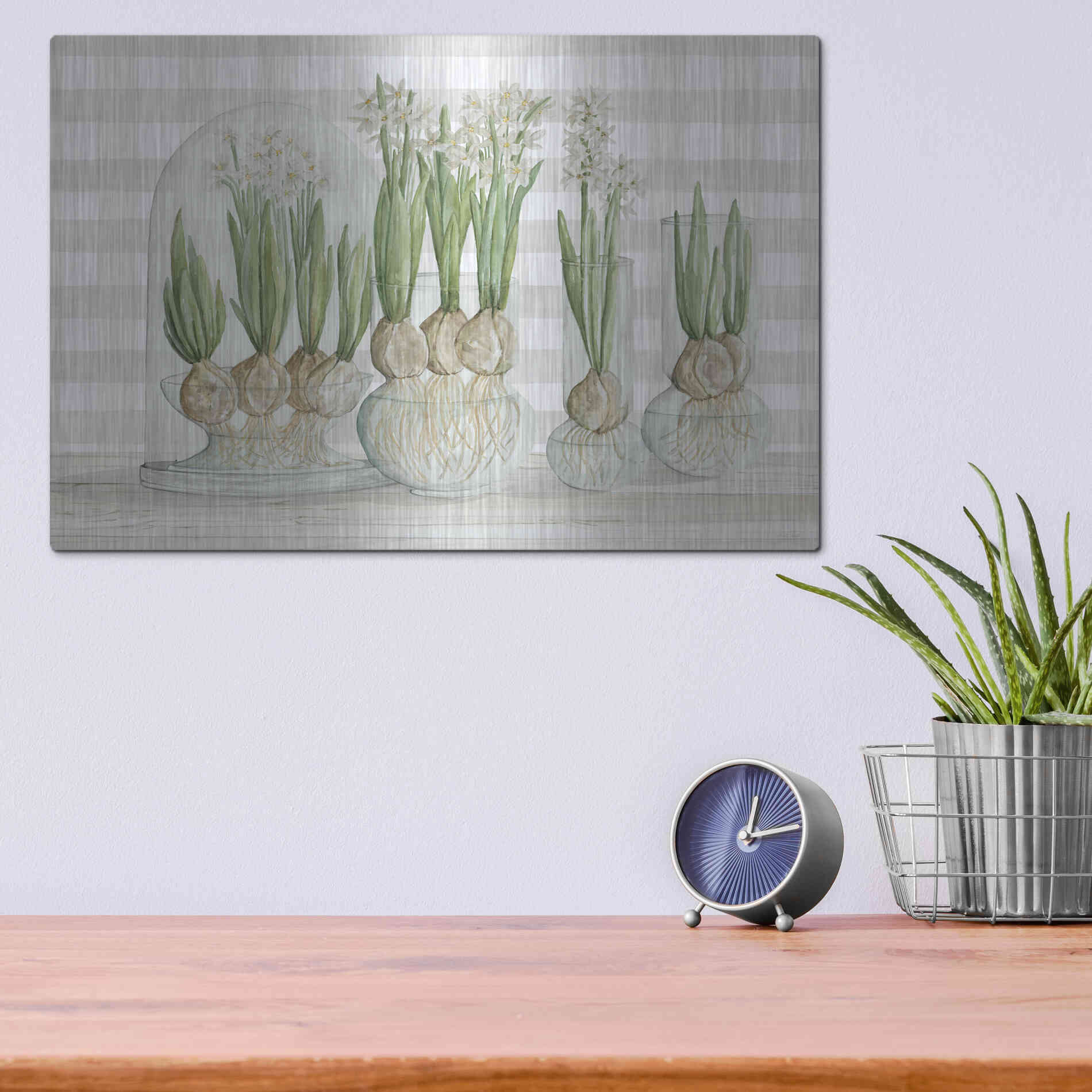 Luxe Metal Art 'Paperwhite Bulbs' by Cindy Jacobs, Metal Wall Art,16x12