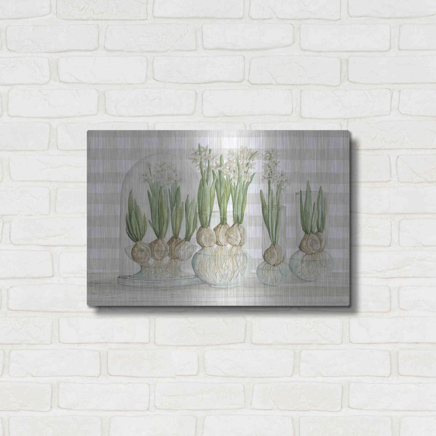 Luxe Metal Art 'Paperwhite Bulbs' by Cindy Jacobs, Metal Wall Art,24x16
