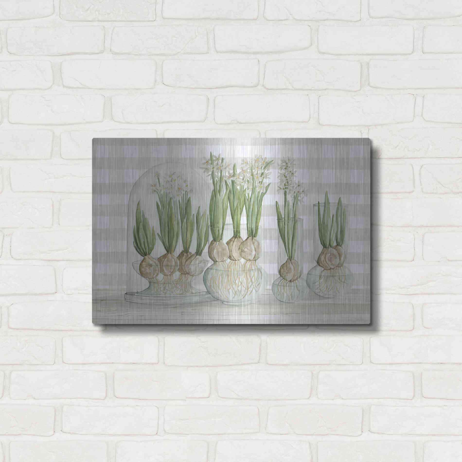 Luxe Metal Art 'Paperwhite Bulbs' by Cindy Jacobs, Metal Wall Art,24x16