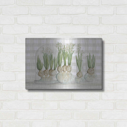 Luxe Metal Art 'Paperwhite Bulbs' by Cindy Jacobs, Metal Wall Art,24x16