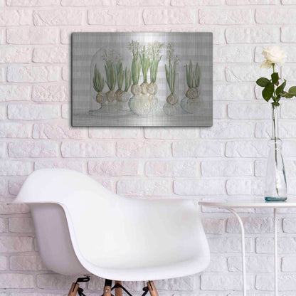 Luxe Metal Art 'Paperwhite Bulbs' by Cindy Jacobs, Metal Wall Art,24x16