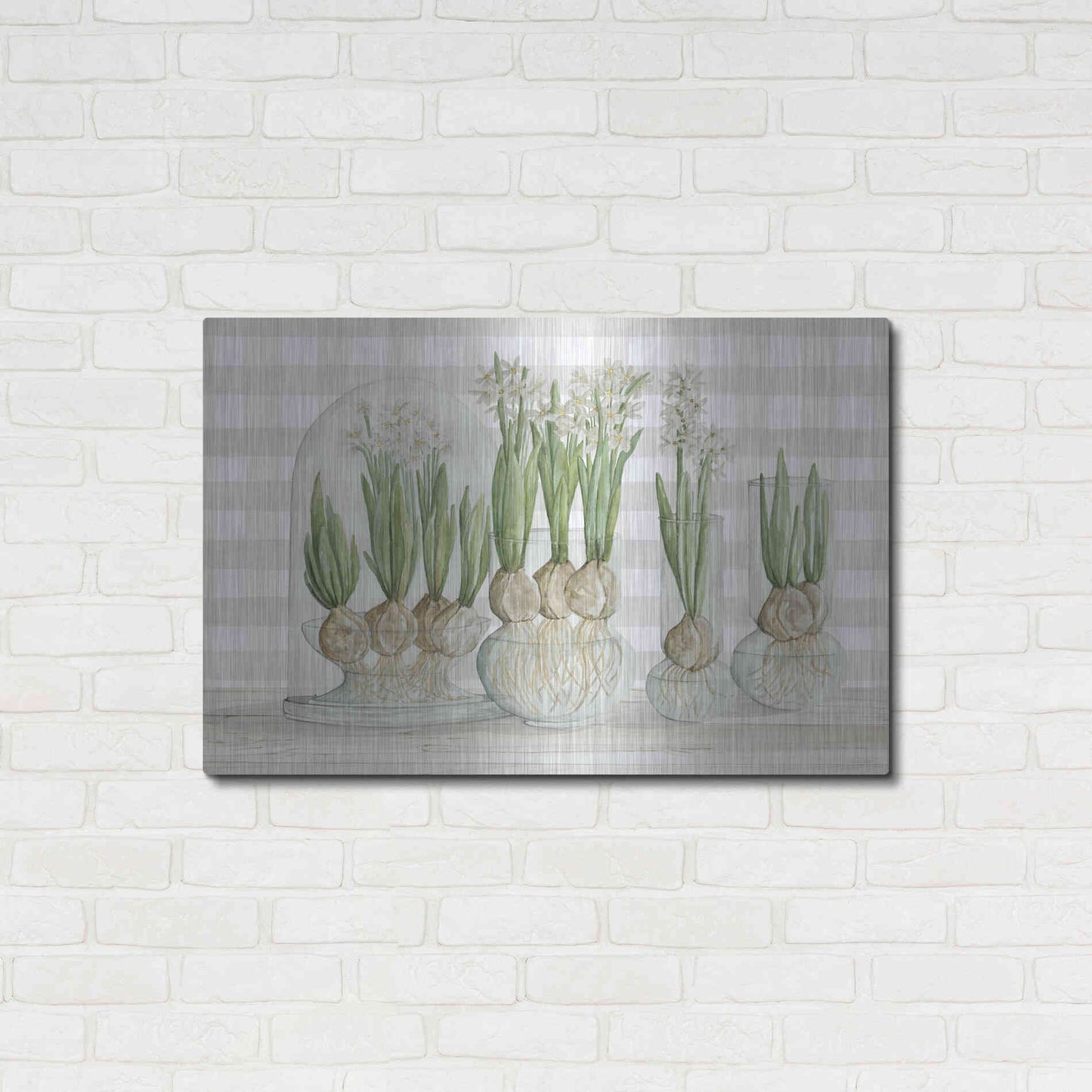 Luxe Metal Art 'Paperwhite Bulbs' by Cindy Jacobs, Metal Wall Art,36x24