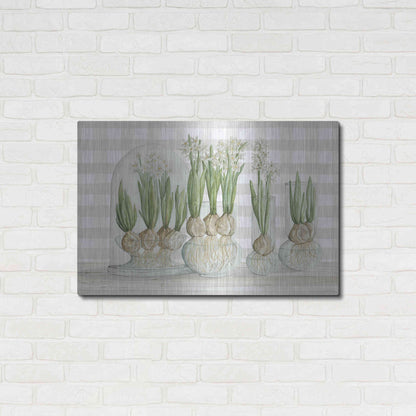 Luxe Metal Art 'Paperwhite Bulbs' by Cindy Jacobs, Metal Wall Art,36x24
