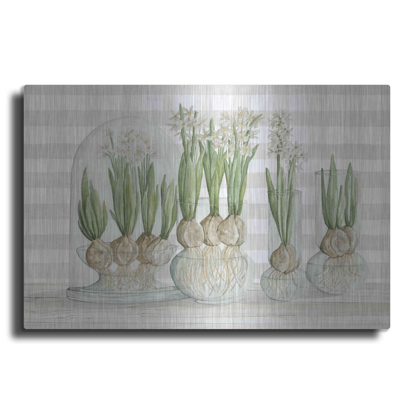 Luxe Metal Art 'Paperwhite Bulbs' by Cindy Jacobs, Metal Wall Art