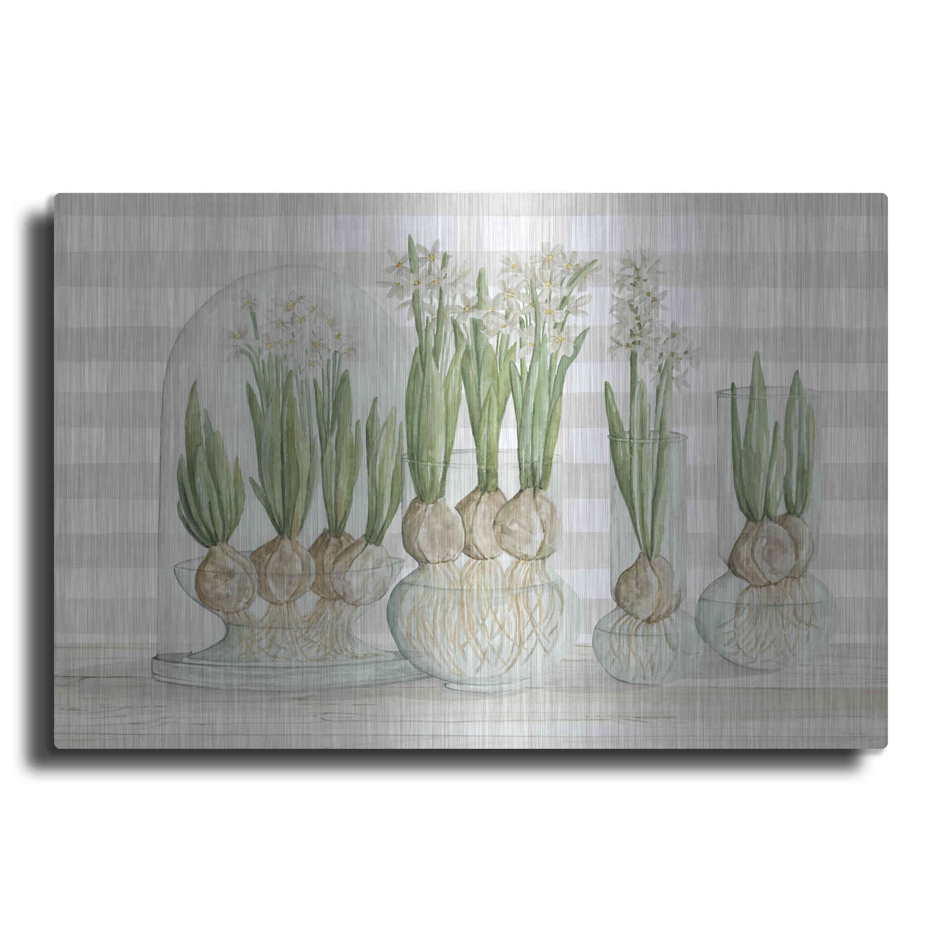 Luxe Metal Art 'Paperwhite Bulbs' by Cindy Jacobs, Metal Wall Art