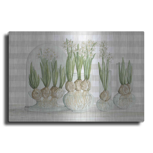 Luxe Metal Art 'Paperwhite Bulbs' by Cindy Jacobs, Metal Wall Art