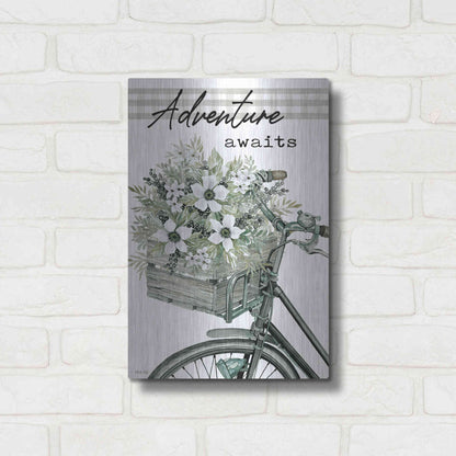 Luxe Metal Art 'Adventure Awaits 2' by Cindy Jacobs, Metal Wall Art,12x16