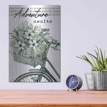 Luxe Metal Art 'Adventure Awaits 2' by Cindy Jacobs, Metal Wall Art,12x16