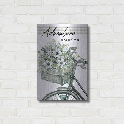 Luxe Metal Art 'Adventure Awaits 2' by Cindy Jacobs, Metal Wall Art,16x24