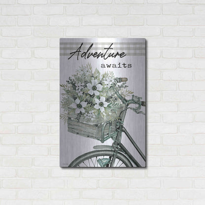 Luxe Metal Art 'Adventure Awaits 2' by Cindy Jacobs, Metal Wall Art,24x36