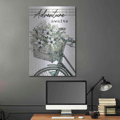 Luxe Metal Art 'Adventure Awaits 2' by Cindy Jacobs, Metal Wall Art,24x36